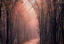 九游体育APP关于芝加哥公牛今夜临场应变；志在NBA常规赛名次提升；气氛紧张；细节决定成败的信息